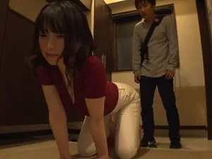 Jav kỷ niệm 1 năm của người đẹp hikari aozora